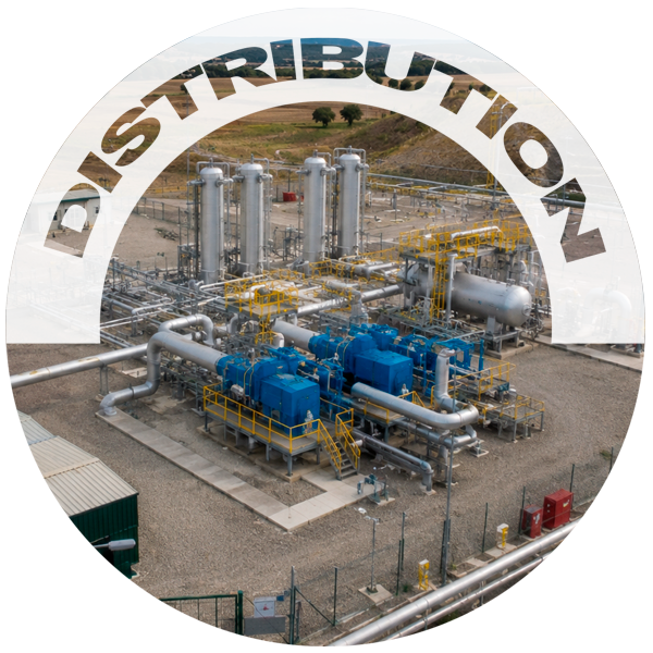DISTRIBUTION-GREEN-HYDROGEN